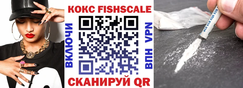 Cocaine FishScale  MEGA ТОР  Велиж 