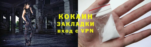 spice Богданович