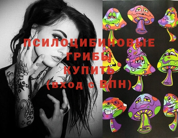 СК Богородск