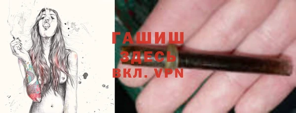 индика Ростов