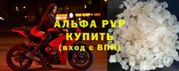 spice Богданович