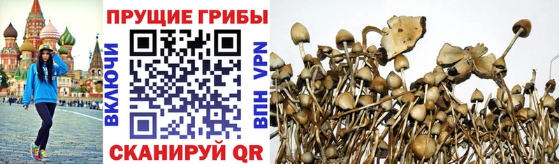 мега tor  Велиж  Галлюциногенные грибы Magic Shrooms 